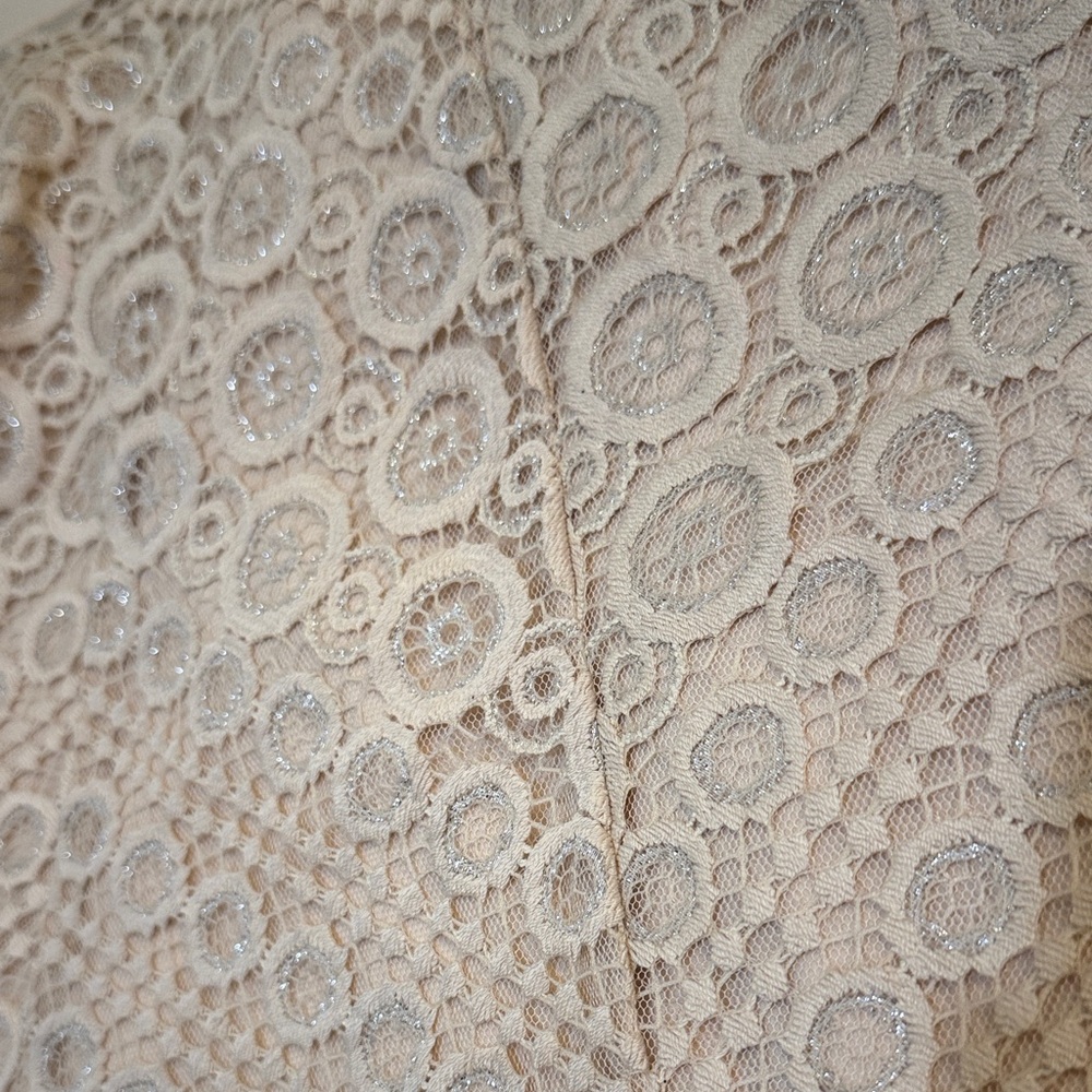 BCBG MaxAzria Metallic Lace Mini Cocktail Alena Dress Size 2 Cream Beige Silver - Picture 6 of 12